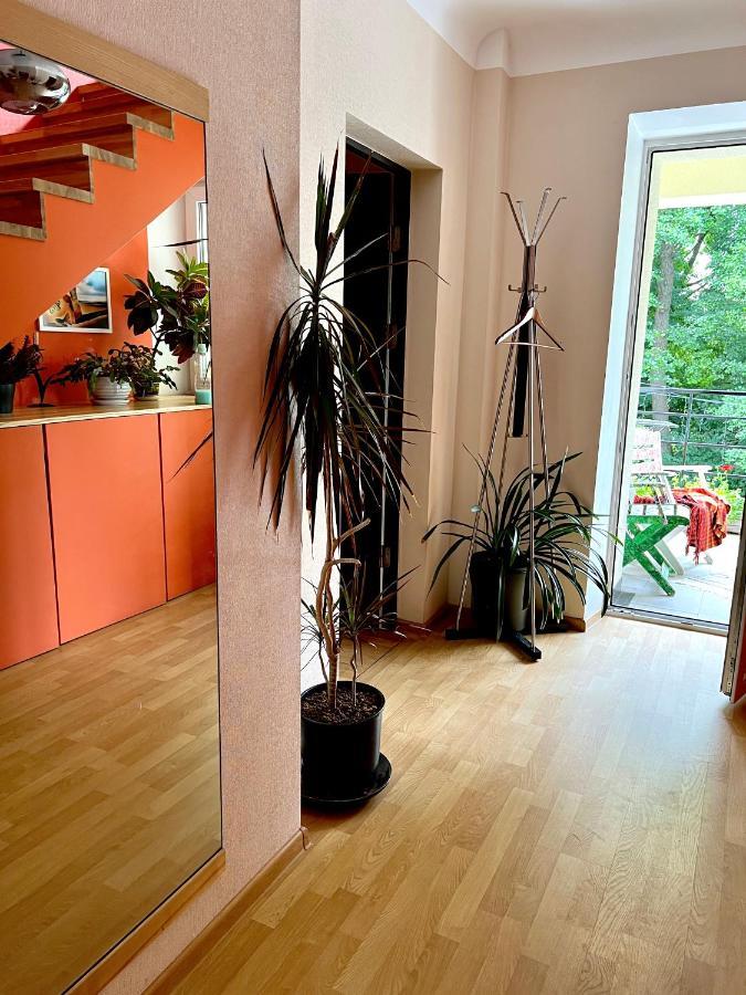 Studio Apartment And Free Airport Transfer Riga Exterior foto