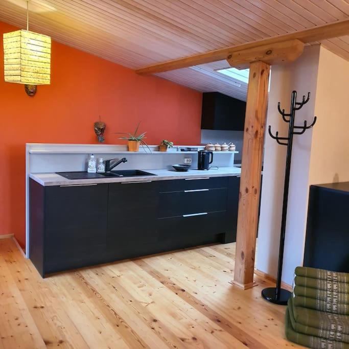 Studio Apartment And Free Airport Transfer Riga Exterior foto