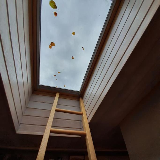 Studio Apartment And Free Airport Transfer Riga Exterior foto