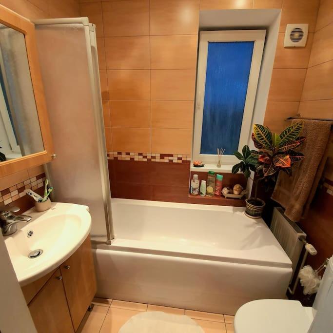 Studio Apartment And Free Airport Transfer Riga Exterior foto