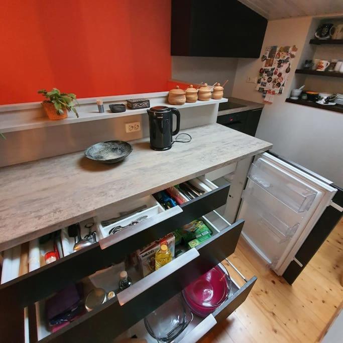 Studio Apartment And Free Airport Transfer Riga Exterior foto